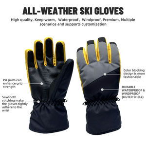 OEM 고품질 겨울 방수 따뜻한 분리형 손가락 스타일리시 컬러 블록 스티칭 유니섹스 트윌 맞춤형 PU 자수 스키 - Product Image 2