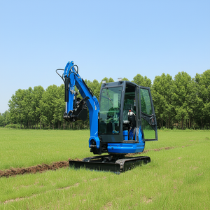 รถขุดขนาดเล็ก 2 ตัน แบบตีนตะขาบ เครื่องยนต์คูโบต้า ได้รับการรับรองมาตรฐาน CE สำหรับงานฟาร์มและสวน รถขุดตีนตะขาบใหม่ จัดส่งฟรี - Product Image 1