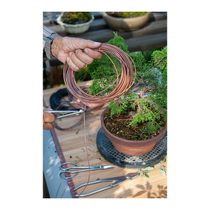 Pince coupante pour fil de bonsaï Tanabe fabriquée au Japon, modèle P14-08, aspect délicat - Product Image 6