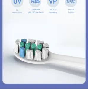 SINBOL Visual Gum fornitore personalizzato meccanico De Dientes portatile viaggio elettrico sonico spazzolino da denti con fotocamera