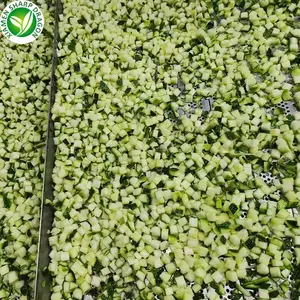 SD IQF Frozen Zucchini Green Slice Dice Wholesale Bulk Frozen Vegetables