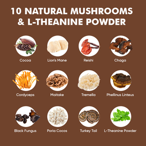 กาแฟเห็ดสำหรับนอนกับผง L-theanine ไก่งวงหางเห็ดผสมโกโก้ร้อน - Product Image 5