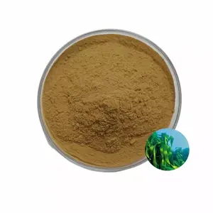 Factory Supply 10:1 Fucoidan Bladderwrack Extract Powder Bladderwrack Extract Powder
