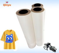 Film DTF Qinyu pour transfert thermique sur textiles, 30cm, 33cm, 60cm, 120cm, double face, décollement à chaud, pour solution d'impression de t-shirts