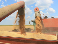 Moissonneuse-batteuse agricole AF88G 90 CV sur chenilles, efficace et à alimentation complète pour la récolte en ferme