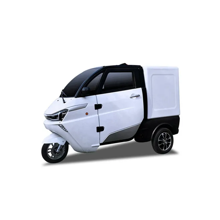 Гарантия качества разумной цене перевозки взрослый автомобиль 3 колеса дешевые электрические транспортные средства