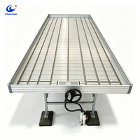 Table de culture 4x8 à flux et reflux, directement de l'usine, avec bacs de culture en ABS, lit de semis professionnel à flux et reflux pour serre et pépinière