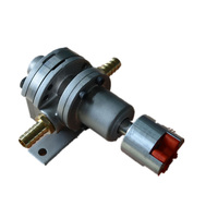 Pompe doseuse à engrenages pour colle thermofusible 220V, en acier inoxydable 304/316 de haute qualité, personnalisable, avec moteur à fréquence antidéflagrant