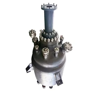 Borui 5 Ton Industrial Chemical Titanium Reactor With Ribbon Stirrer
