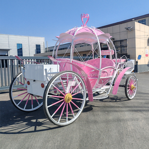 La dernière carrosse royale de tourisme conçue avec des caractéristiques distinctives - Product Image 5