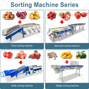 Machine de <span class=keywords><strong>tri</strong></span> et de calibrage des fruits ORME pour pommes de terre, mangues, avocats et kiwis - Product Image 4