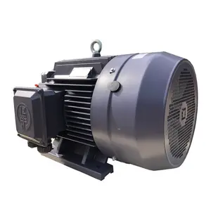 Motore elettrico universale asincrono a induzione trifase 380V 50Hz usato industriale di vendita caldo