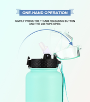 Bouteille d'eau isotherme Everich 22oz à large ouverture en acier inoxydable 304 avec couvercle à bec verseur escamotable et poignée portable