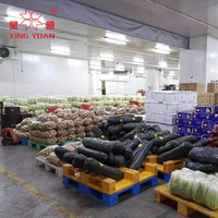Équipement de chambre froide pour fruits et légumes 6 tonnes, panneau sandwich, chambre froide pour légumes industriel réfrigéré dubaï