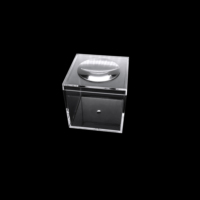 Boîtes de loupe en plastique transparent Effet loupe