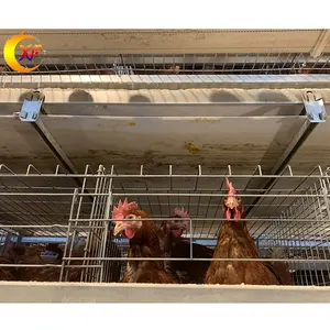 一种带有饲养肥环境控制的全套自动蛋鸡设备