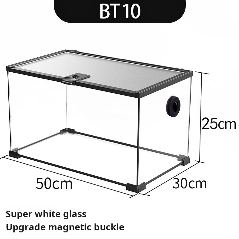 noir BT10