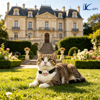 Traceur GPS en temps réel LK630, dispositif de suivi, localisateur GPS pour animaux de compagnie, pour chat et chien