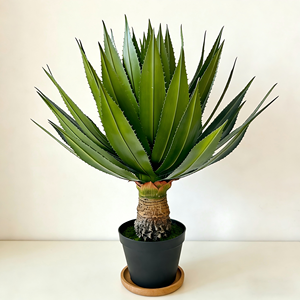 <span class=keywords><strong>Agave</strong></span> Artificial <span class=keywords><strong>Grande</strong></span> de 120 cm con 56 Hojas, Árbol Antiguo con Espinas, Banda Azul, Cactus Artificial en Maceta de Plástico Negra, Decoración de Piso para el Hogar - Product Image 6