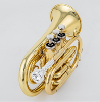 Pocket B-flat Trumpet Wind Instrument Musical Instrument for Beginners to Take Grade Examinations Gifts