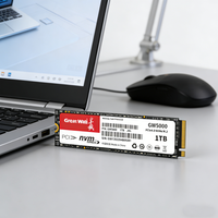 قرص صلب داخلي Great Wall GW5000 SSD M.2 PCIe 4.0 NVMe 2.0 عالي السرعة بسعة 2 تيرابايت 2280 للكمبيوتر المكتبي بسرعة قراءة 4200-5000 ميجابايت/ثانية وسرعة كتابة 2000-4500 ميجابايت/ثانية مع ضمان 3 سنوات