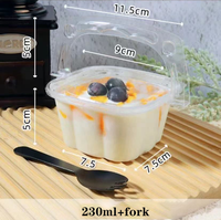 Vente en gros corbeille à fleurs forme carrée conteneur d'emballage pour dessert boîte à emporter transparente pour gâteau en mousse boîte à dessert pour enfants