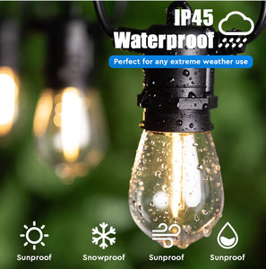 Trong Kho Thương Mại Cấp S14 1W E26 Rõ Ràng Glass LED Chuỗi Đèn Không Thấm Nước Ngoài Trời Festoon Cho Vườn Kỳ Nghỉ Đám Cưới - Product Image 4