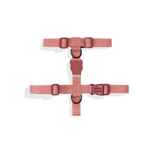 สายรัดอกสุนัข Naturals Canyon H-Harness ขนาดกลาง สีแดง ปรับขนาดได้ - Product Image 2