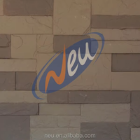 Panneau mural en pierre artificielle NEU, écologique, imperméable, ignifuge, couleur riche, pour l'intérieur des hôtels et la décoration de la maison