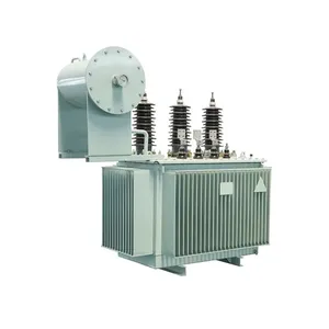 Transformateur immergé dans l'huile S20 10 kV 1600 kVA (Contrôle de température intelligent, Usage intensif, Usines) Fournisseur certifié State Grid - Hol - Product Image 2