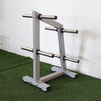 Équipement de fitness commercial de haute qualité en gros, support de rangement, accessoires de salle de sport, support de rangement pour plaques de poids, machine de rangement de poids de luxe