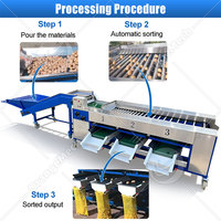 ORME Hoge Efficiëntie Aardappel Sorteermachine Avocado Dadel Formaat Sorteermachine Mini Blauwe Bes Sorteermachine