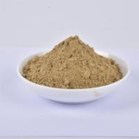 Poudre de protéines de vers de farine dégraissés séchés, additifs protéiques fonctionnels