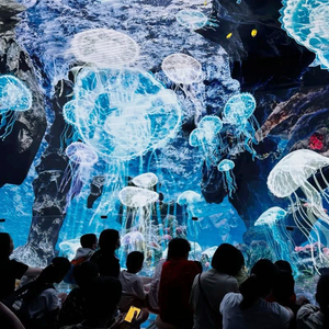 Espace Cinéma Intérieur Immersif à LED Film 8K de 'Monstres de la Montagne et de la Mer' Écran Cinq Voies Thème Métallique pour Aéroport - Product Image 1