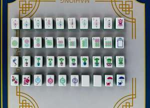 American <b>Mahjong</b> Tiles <b>Set</b> Premium Acrylic <b>Mahjong</b> Tiles with Hummingbird Floral Design - Product Image 3