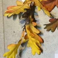 Branche d'arbre artificielle en faux chêne de haute qualité avec fruits, feuillage en soie, plante pour Noël et le Nouvel An chinois - FloDecor