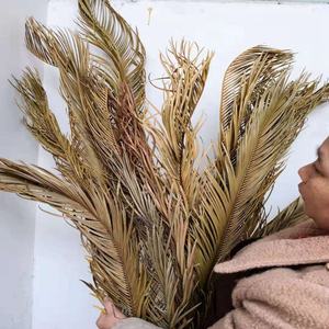 Hojas de E-3222 grande de crisalidocarpus <span class=keywords><strong>Lutescens</strong></span>, hojas secas naturales coloridas de Palma - Product Image 6