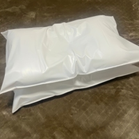Housse de coussin de luxe personnalisée 100 % imperméable en PU, durable, avec fermeture enveloppante, protection médicale pour oreiller