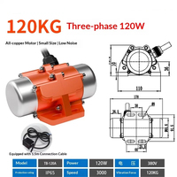 Kleiner Einphasen-Asynchron-Vibrationsmotor T0-0.1 220V/380V 100W für Lagerwandvibratoren und Galvanik