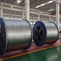 Cable Eléctrico de Aluminio Reforzado con Acero (ACSR) de un Solo Núcleo para Construcción, Cumple con la Norma IEC 61089