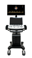 Système d'échographie Doppler couleur portable 3D 4D pour animaux de compagnie Dawei Veterinary à vendre