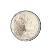 Poudre de Capsaïcine Pure à 98% (CAS 404-86-4) – Extrait Naturel de Capsicum – Prix de Gros