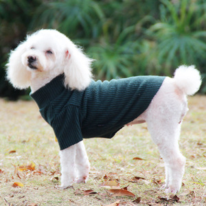 Vêtements pour chiots Teddy et Corgi, vert foncé, jaune gingembre, haute élasticité, hiver, printemps, automne, couche de base pour animaux de compagnie, petits et moyens chiens - Product Image 1