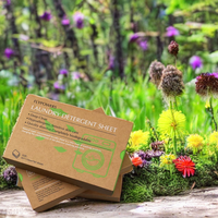 Bandes de papier nettoyant à base de plantes Super concentré, pièces, bandes écologiques pour le lavage du linge