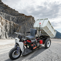 Direct Usine Inca Rock Tricycle Benne Basculante Diesel 1 Tonne, Moteur à Démarrage Électrique, Batterie 60A, Frein à Huile, Poids 480 KG