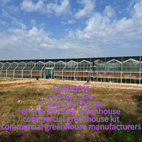 Grande serre agricole hydroponique multi-voûtes d'hiver avec structure en polycarbonate et couverture en verre, marque JSLYFN, fabriquée à Wuxi, Chine