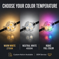 Ismart Wholesale Pixels Light Ws2811 Blanc Chaud Rgbw 12V Lumière de Noël Extérieure Étanche avec Contrôle par Application Intelligente Décoration