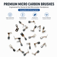 Brosses en carbone 102L pour pièce à main Saeshin Strong 204, accessoires pour perceuse dentaire, micromoteur, meuleuse, mini-graveur