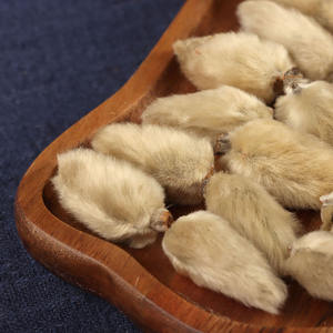 Venta al por mayor Xin Yi Hua Materiales Medicinales chinos de alta calidad variedad <span class=keywords><strong>Mulan</strong></span> Magnolia completa - Product Image 3