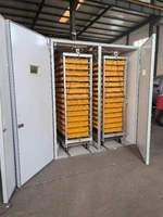 Incubateur d'Œufs 1000/1056 / Incubateur d'Œufs de Poule en Vente Chaude / Machine d'Incubation à Bas Prix